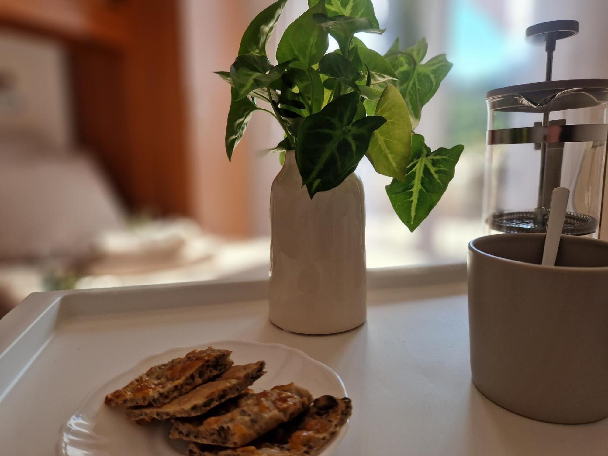 House Olive Garden Strunjan公寓 外观 照片